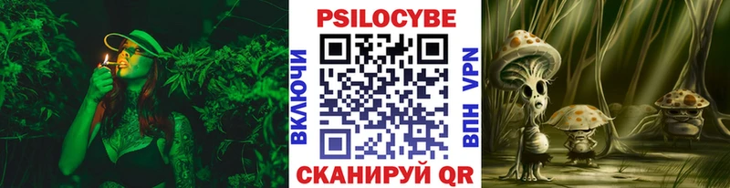 Псилоцибиновые грибы мухоморы  где купить наркоту  Приволжск 